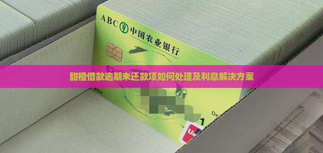 甜橙借款逾期未还款项如何处理及利息解决方案