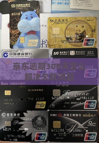 京东逾期300天怎么解决欠款问题