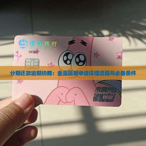 分期还款逾期协商：金瀛延期申请详细流程与必备条件
