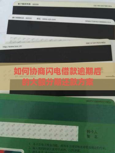 如何协商闪电借款逾期后的大额分期还款方案