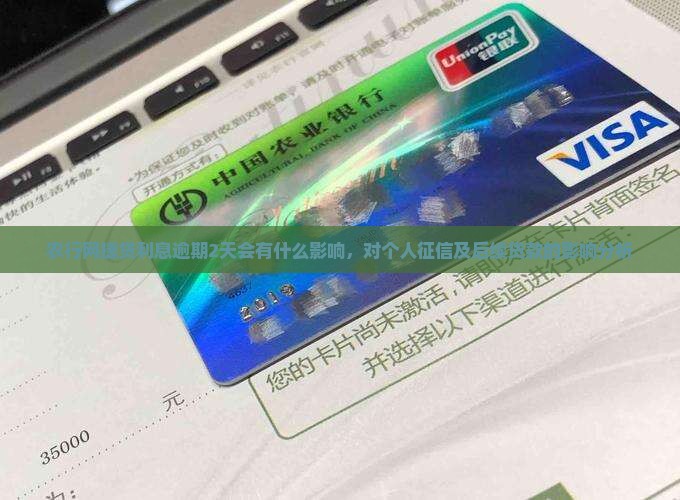 农行网捷贷利息逾期2天会有什么影响，对个人征信及后续贷款的影响分析