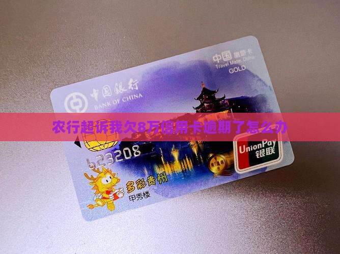 农行起诉我欠8万信用卡逾期了怎么办