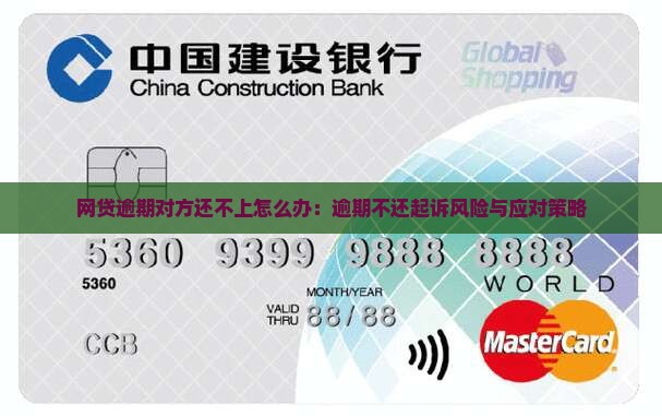 网贷逾期对方还不上怎么办：逾期不还起诉风险与应对策略