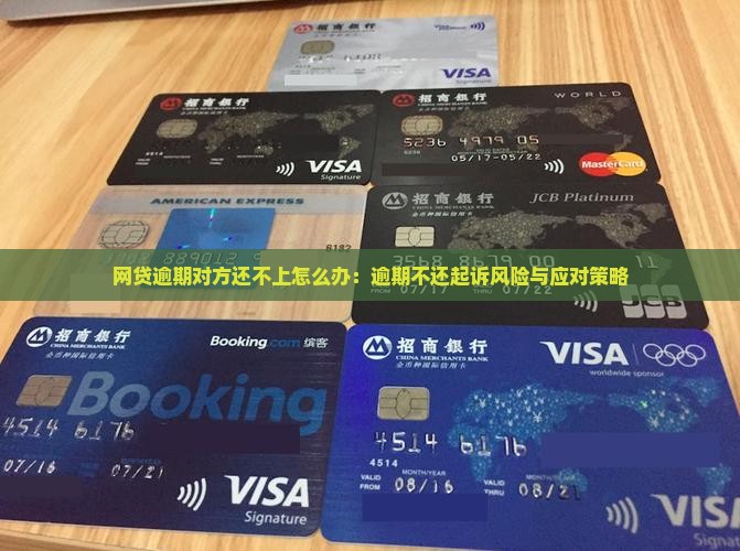 网贷逾期对方还不上怎么办：逾期不还起诉风险与应对策略
