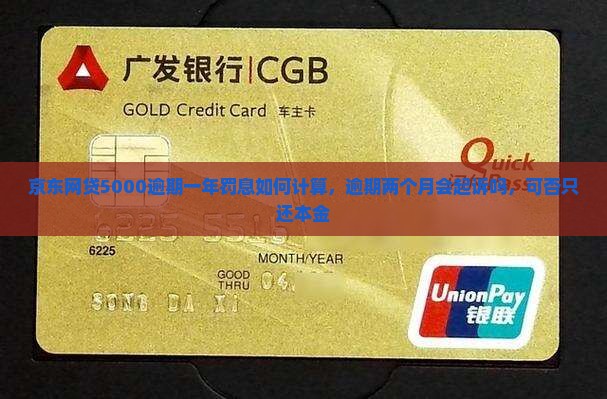 京东网贷5000逾期一年罚息如何计算，逾期两个月会起诉吗，可否只还本金