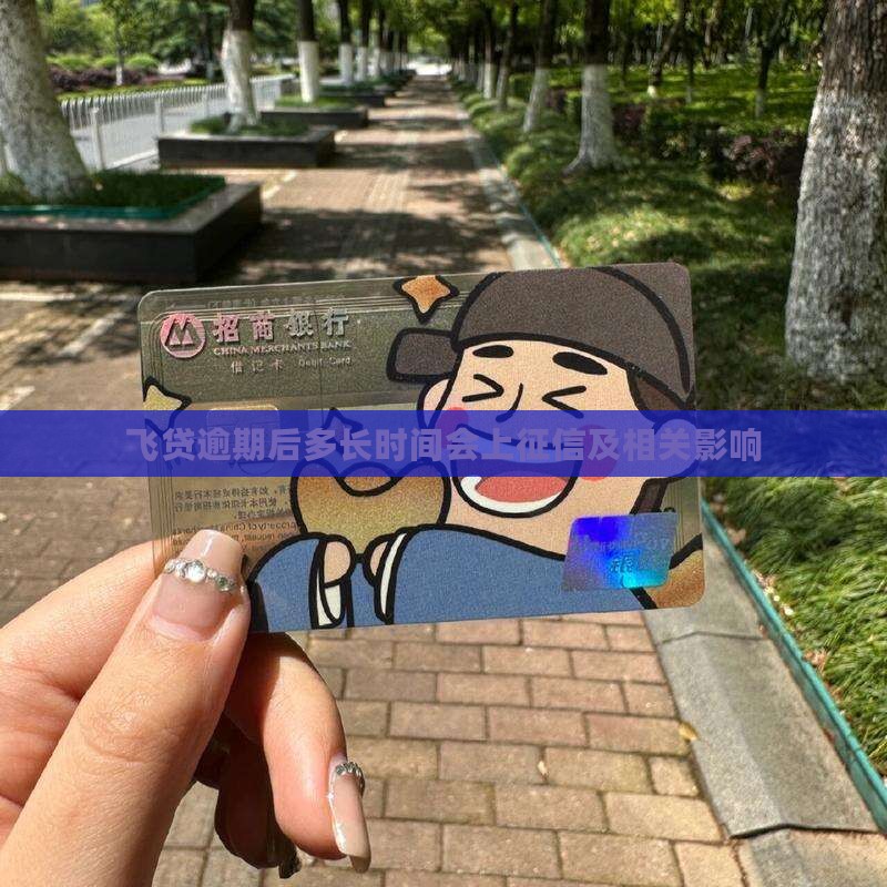 飞贷逾期后多长时间会上征信及相关影响