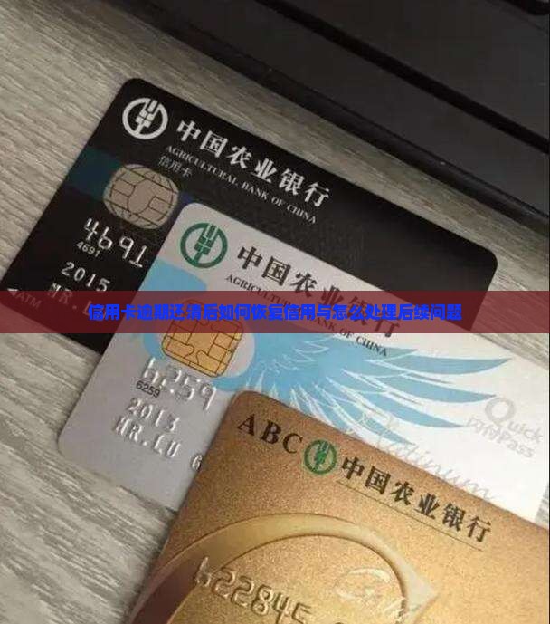 信用卡逾期还清后如何恢复信用与怎么处理后续问题