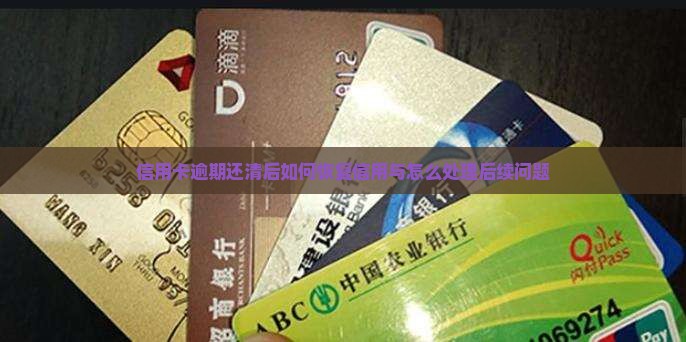 信用卡逾期还清后如何恢复信用与怎么处理后续问题