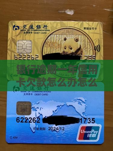 银行逾期一年信用卡欠款怎么办怎么解决