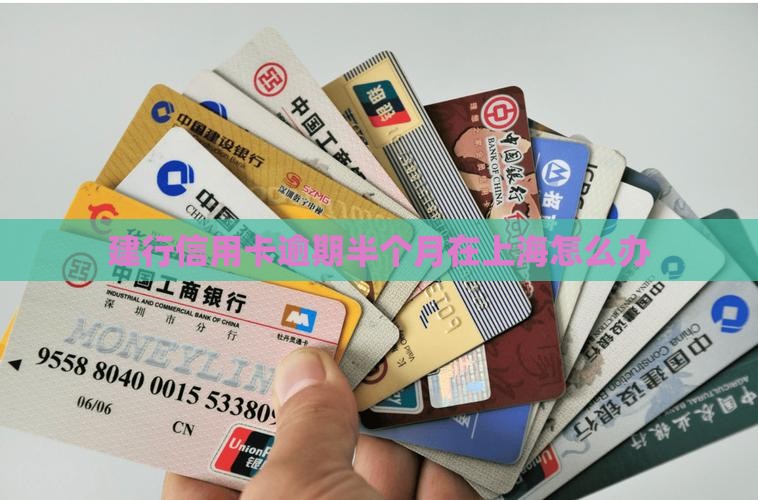 建行信用卡逾期半个月在上海怎么办