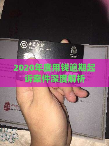 2020年度用钱逾期起诉案件深度解析