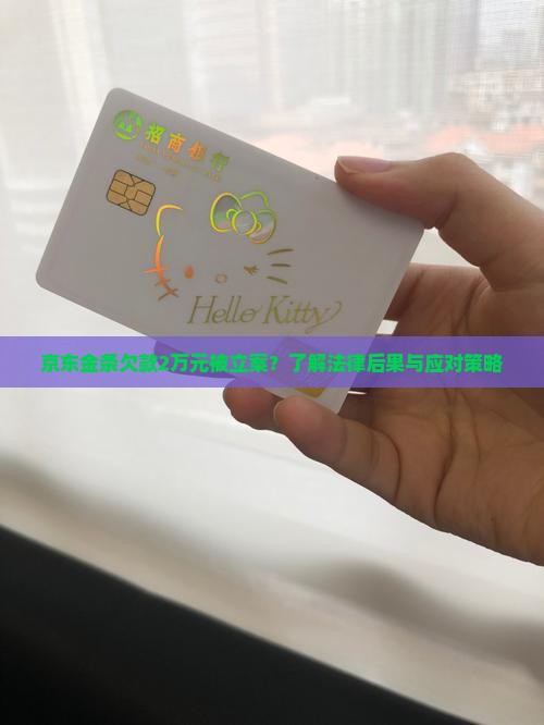京东金条欠款2万元被立案？了解法律后果与应对策略