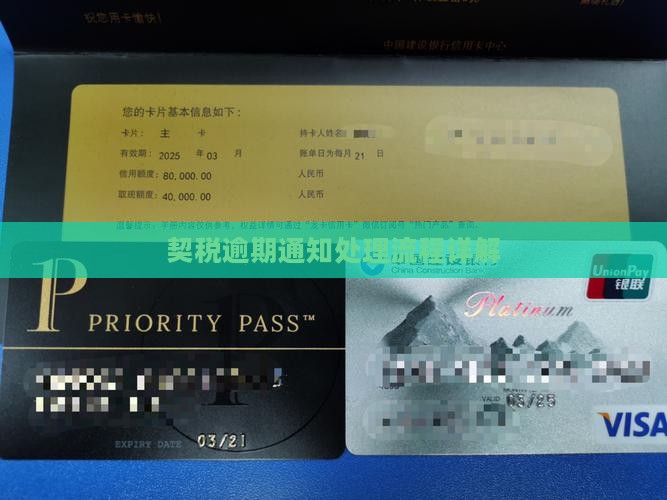契税逾期通知处理流程详解