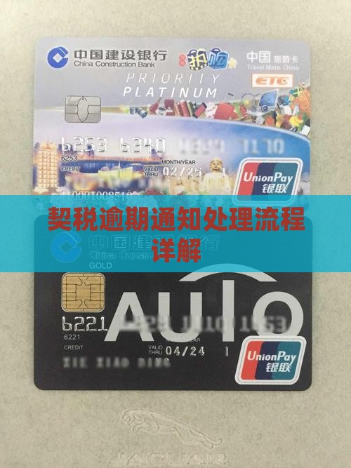 契税逾期通知处理流程详解
