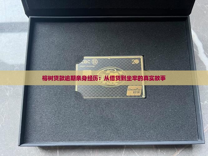 榕树贷款逾期亲身经历：从借贷到坐牢的真实故事