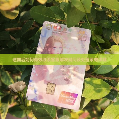 逾期后如何有效联系客服解决疑问及处理策略详解