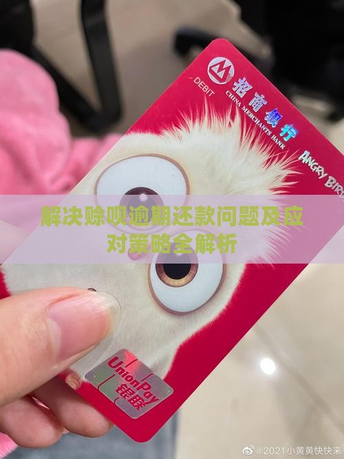 解决赊呗逾期还款问题及应对策略全解析