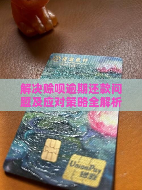 解决赊呗逾期还款问题及应对策略全解析