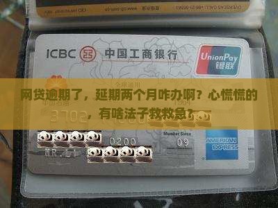 网贷逾期延期两个月怎么办如何应对