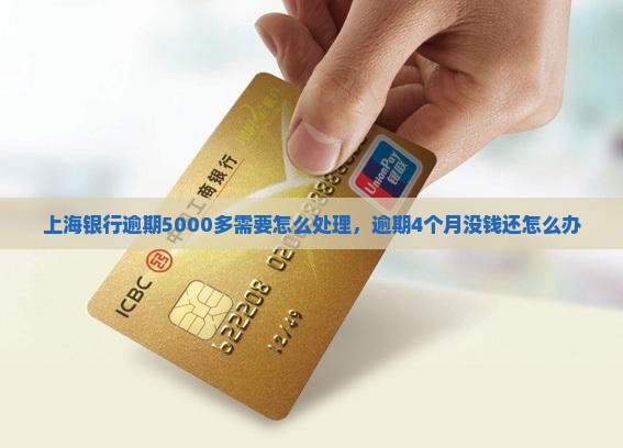 上海银行逾期5000多需要怎么处理