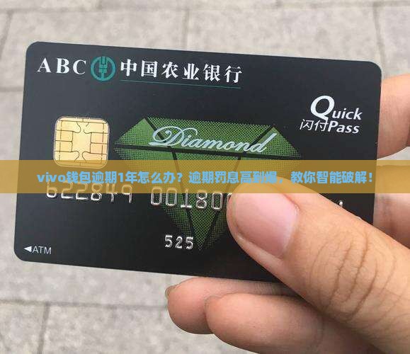 vivo钱包逾期1年如何处理