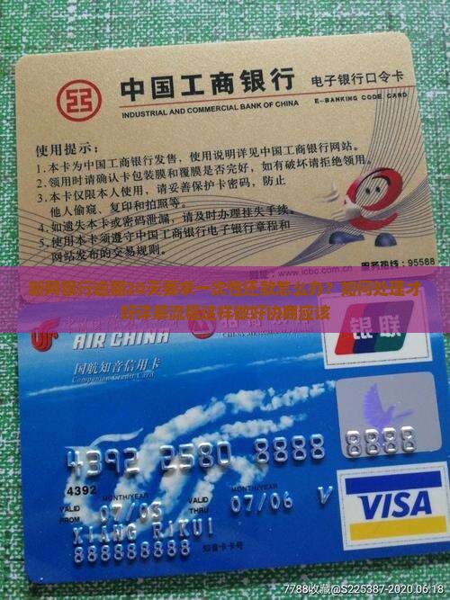 新网银行逾期20天要求一次性还款怎么处理
