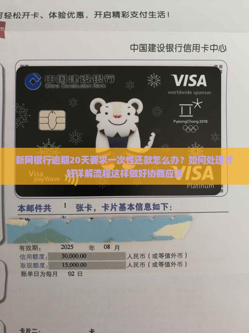 新网银行逾期20天要求一次性还款怎么处理