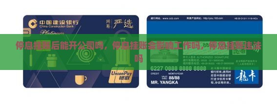 停息挂账后能开公司吗