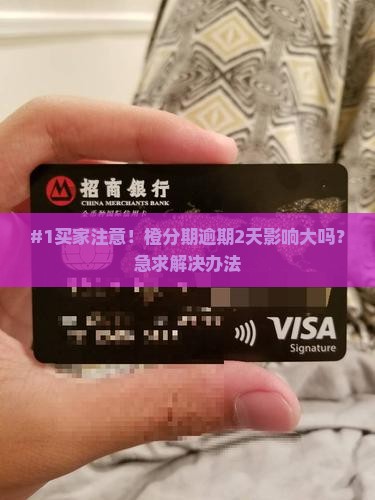 橙分期逾期两天会怎样