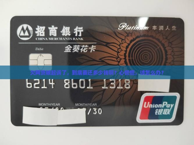 网贷逾期被起诉要还多少