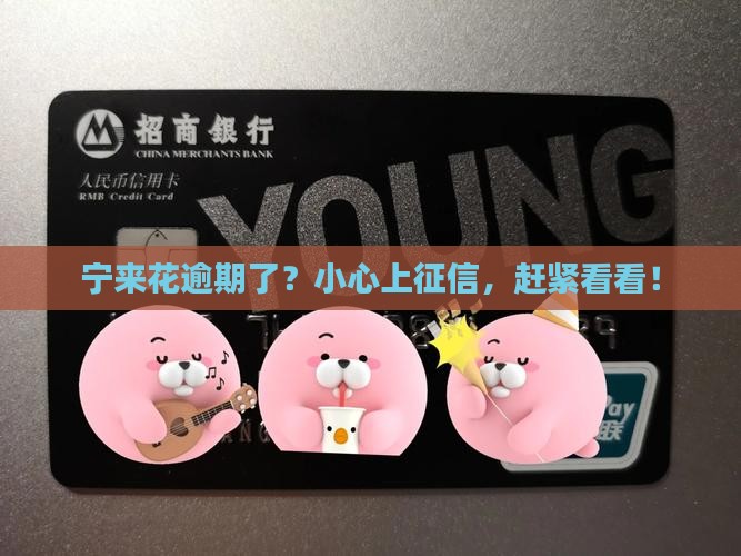 宁波银行宁来花逾期会上征信