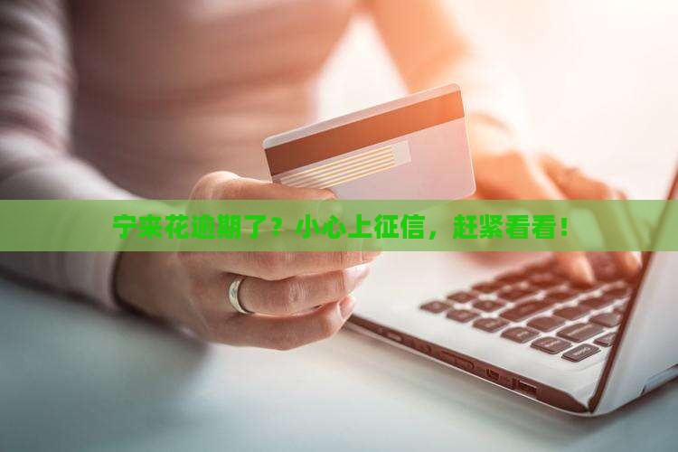 宁波银行宁来花逾期会上征信
