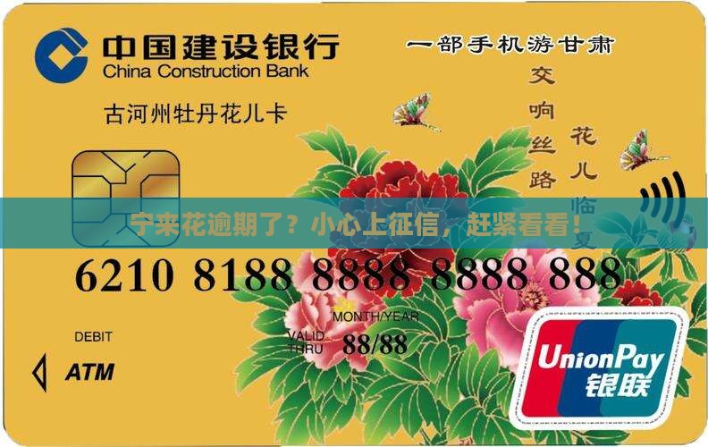 宁波银行宁来花逾期会上征信