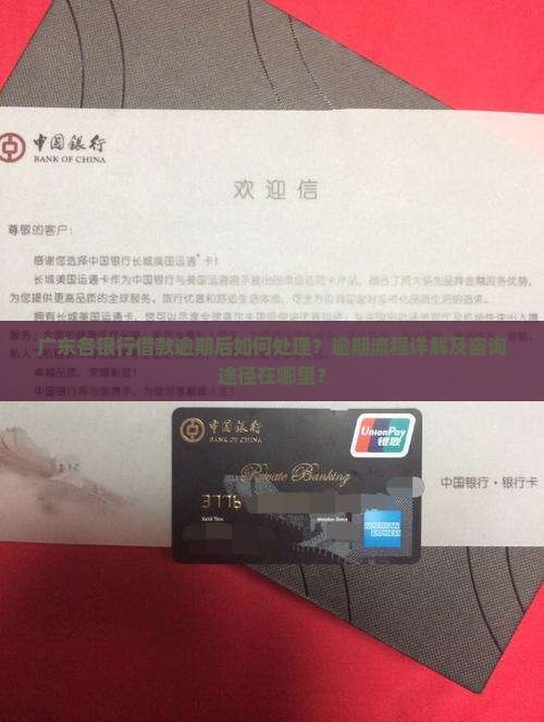 广东各银行借款逾期处理流程及咨询指南