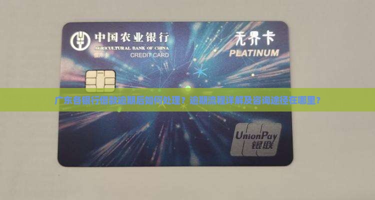 广东各银行借款逾期处理流程及咨询指南