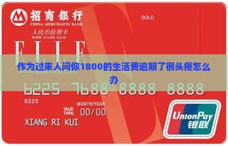 美团生活费1800逾期怎么办