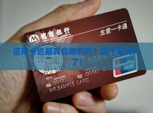 信用卡逾期被起诉判刑案例公开了吗