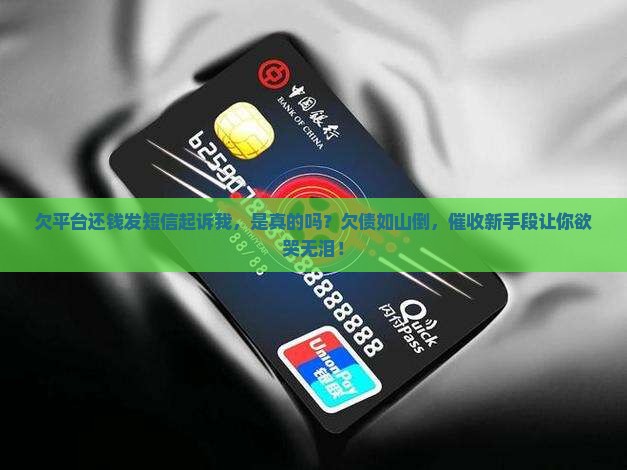 欠平台还钱发短信起诉我真的吗