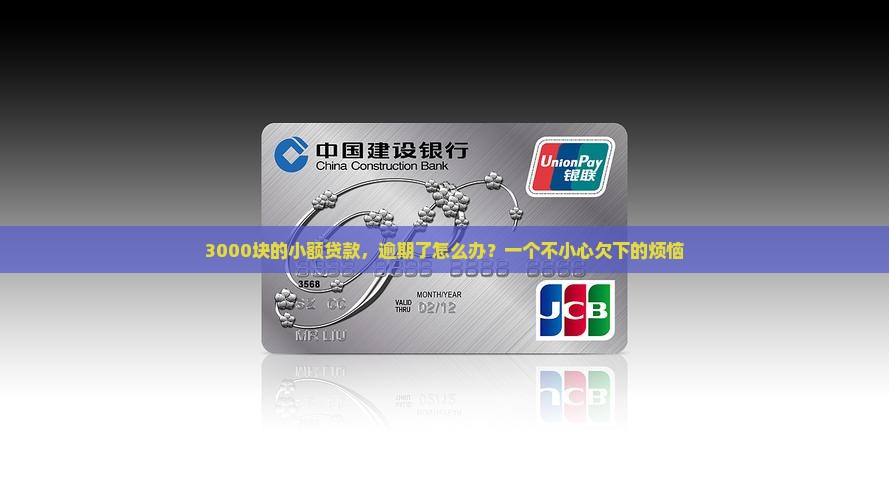 小额贷款逾期3000