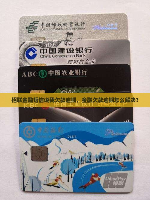 招联金融一直发信息说我欠款逾期解决方案