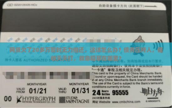 网贷欠了20多万暂时无力偿还