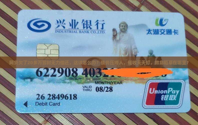 网贷欠了20多万暂时无力偿还