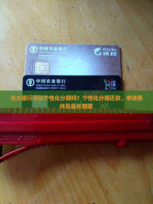 光大银行可以个性化分期吗