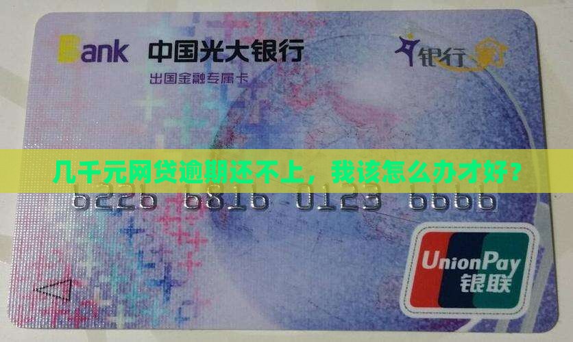 几千块网贷逾期无力偿还该怎么办