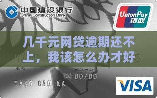 几千块网贷逾期无力偿还该怎么办