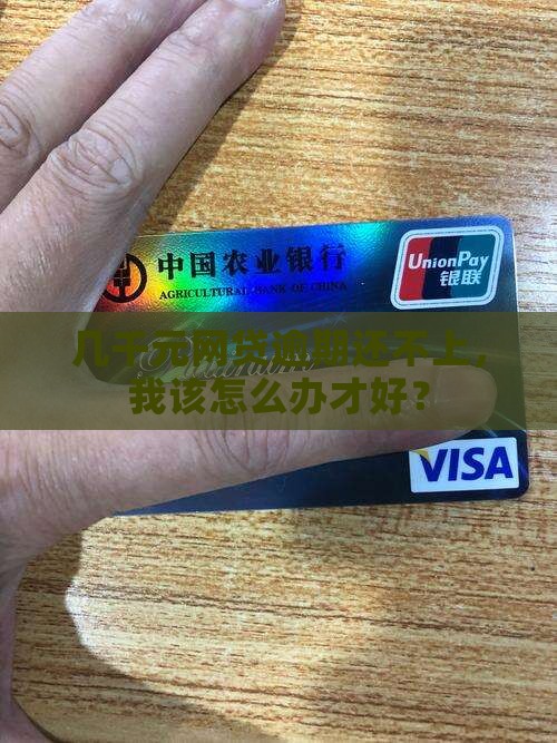 几千块网贷逾期无力偿还该怎么办