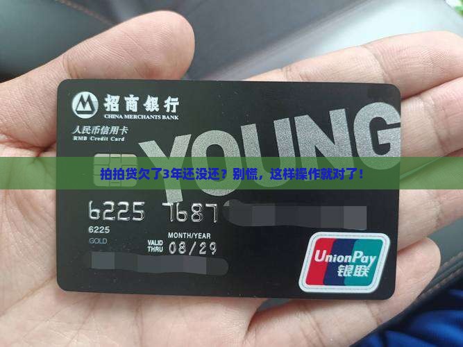 拍拍贷逾期3年如何还款
