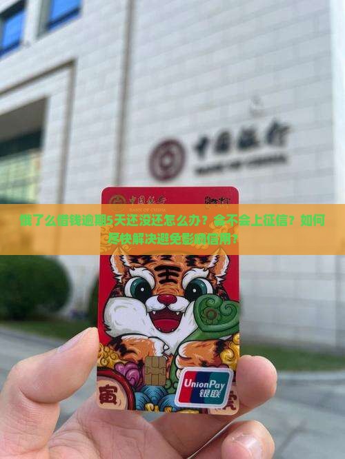 饿了么借钱逾期5天还该怎么办