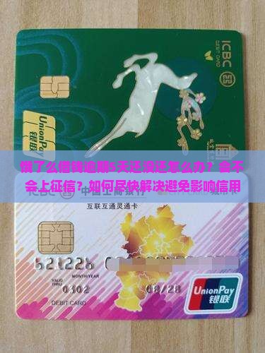 饿了么借钱逾期5天还该怎么办