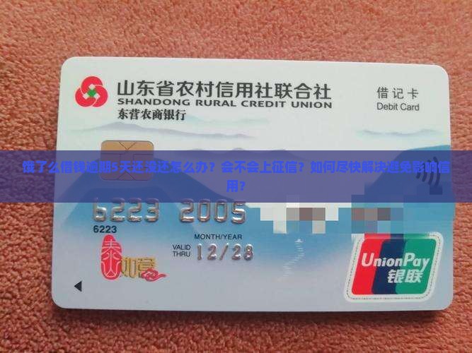 饿了么借钱逾期5天还该怎么办